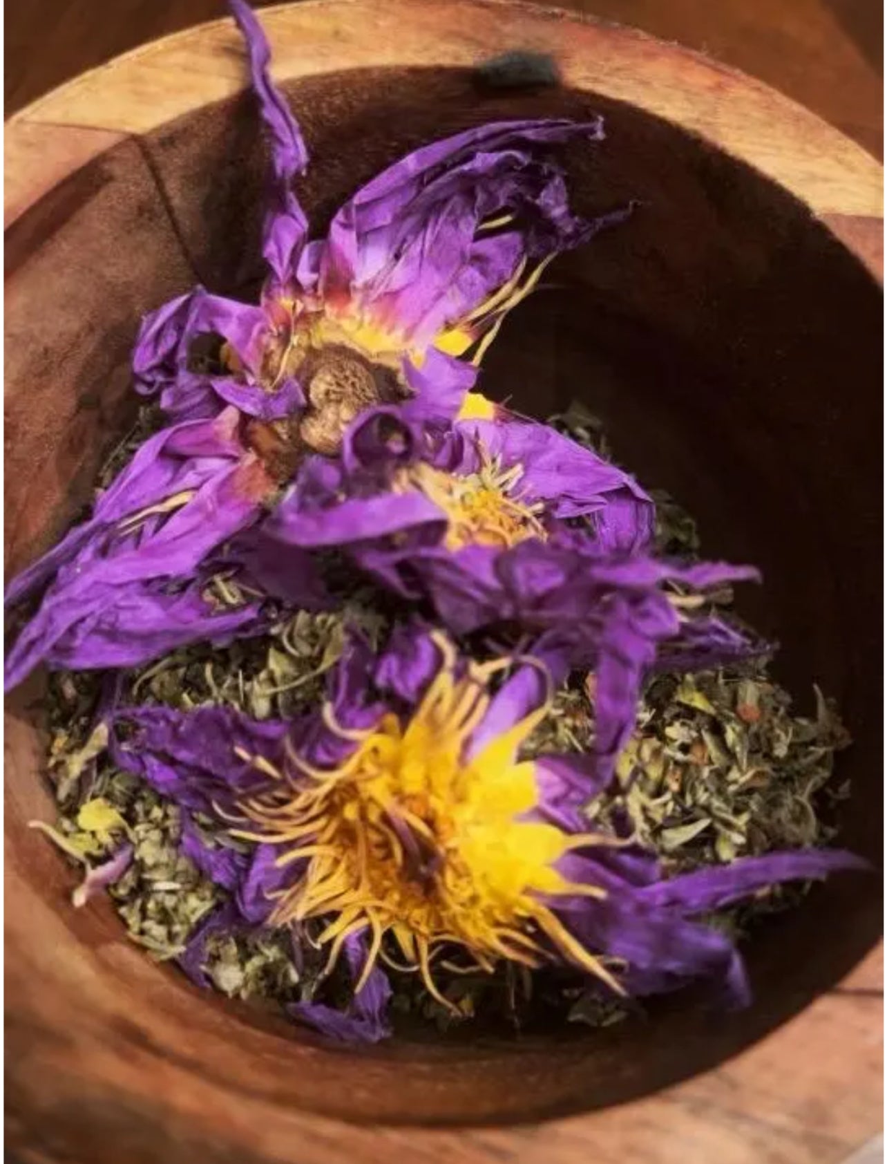 Egyptian Escapes Tea Blend | Artisan Tea Blend